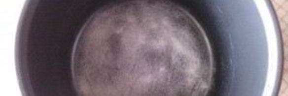 пирог с красной смородиной