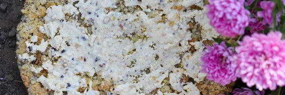 пирог с персиками, ореховым штрейзелем и белым шоколадом