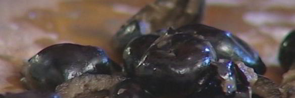 рыбный пирог со шпинатом