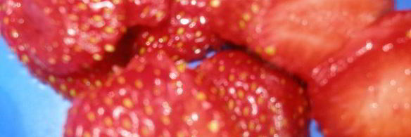 пирожки из творожного теста с двумя видами начинок