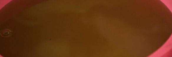 пирожные мохито