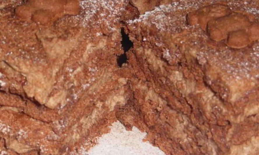 Рецепт шоколадного пирожного ангельского