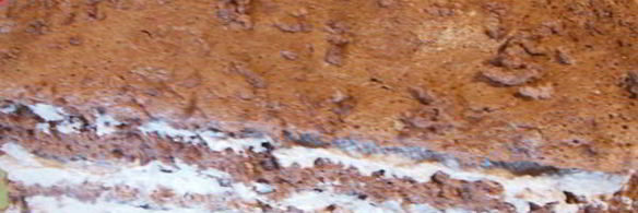 шоколадное пирожное ангельское