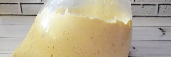 пицца на дрожжевом тесте