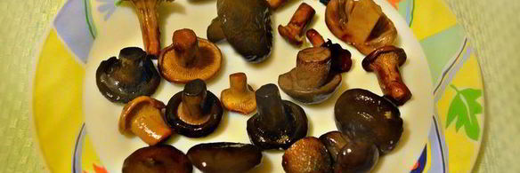 пицца с цветками цукини и лесными грибами