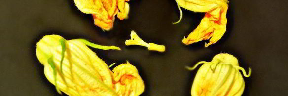 пицца с цветками цукини и лесными грибами