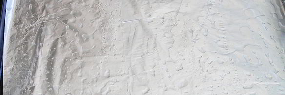 пицца с тунцом