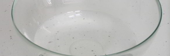 пицца с тунцом