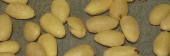 итальянская коврижка панфорте