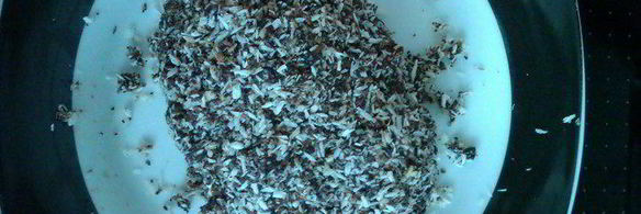 лунный пряник юэбин