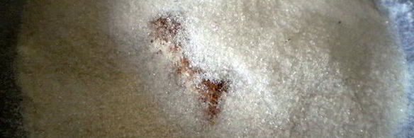 пряники из тыквы