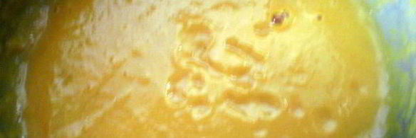 пряники из тыквы