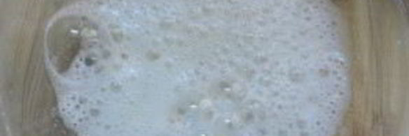 медовая шарлотка с яблоками