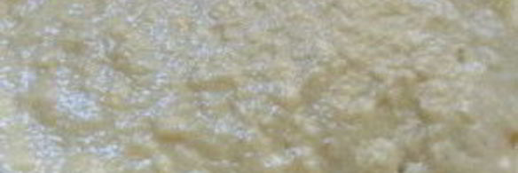 медовая шарлотка с яблоками