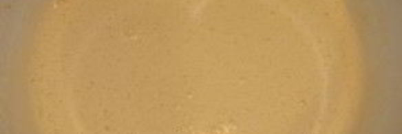 шарлотка с ананасами в мультиварке