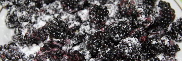 шарлотка с ежевикой