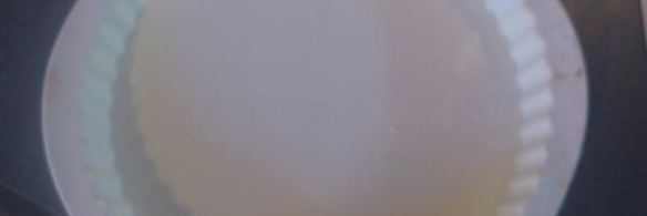 шарлотка с яблоками и лимонами