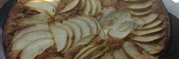 весенняя шарлотка