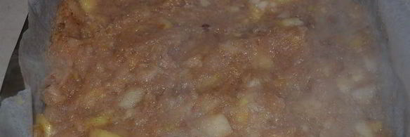 яблочная шарлотка под двухцветным бисквитом