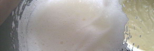 яблочно-брусничная шарлотка