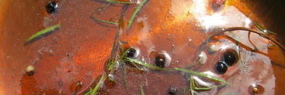 слойки с клубникой в розмариновом меду