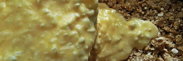 ягодный творожник без муки