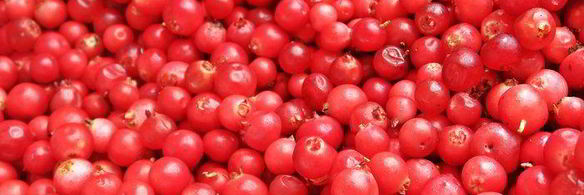 ягодный творожник без муки