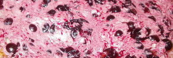 бисквитный торт с орехово-смородиновой ноткой