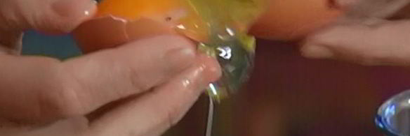 маковый торт с вареньем и взбитыми сливками