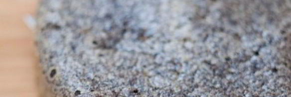 маковый торт с вареньем и взбитыми сливками