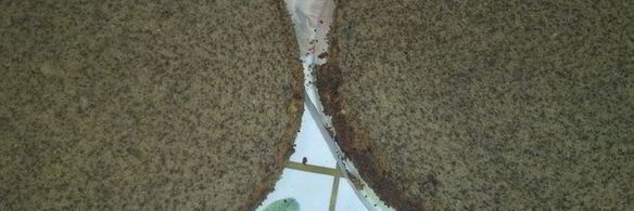 ореховый торт без муки