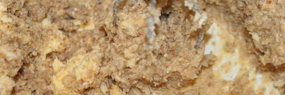 шоколадный торт два орешка