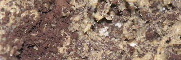 шоколадный торт два орешка