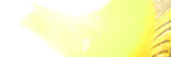 торт вишня в шоколаде