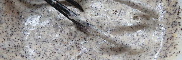 ванильно-маковый торт ягодные мечты