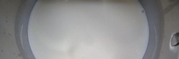 ванильно-маковый торт ягодные мечты