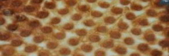 хрустящие вафельные трубочки