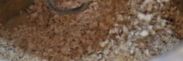 выпечка на фольге