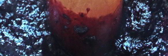 черничный джем из духовки