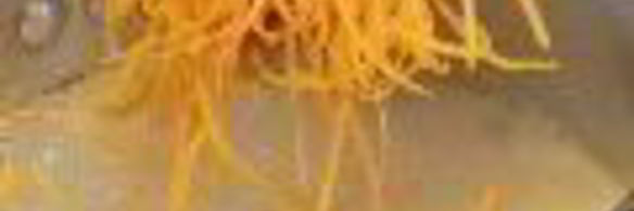 джем из апельсиновой цедры