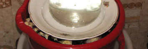 капуста квашеная пилюстка