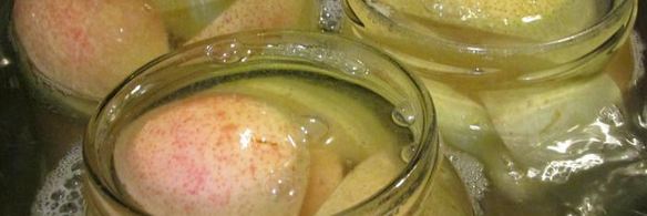 компот грушевый с медом