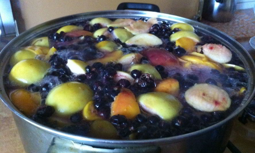 Рецепт компота из черной смородины и яблок