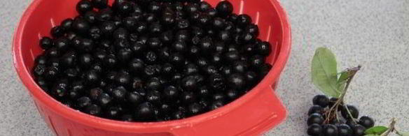 компот из черноплодки