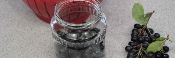 компот из черноплодки