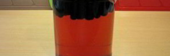 компот из черноплодной рябины