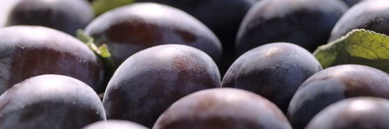 Компот из чернослива на зиму