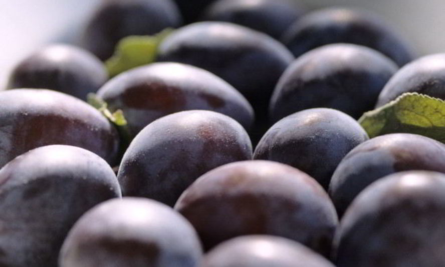 Рецепт компота из чернослива на зиму