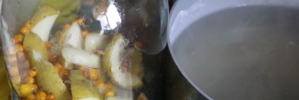 компот из груш и облепихи на зиму