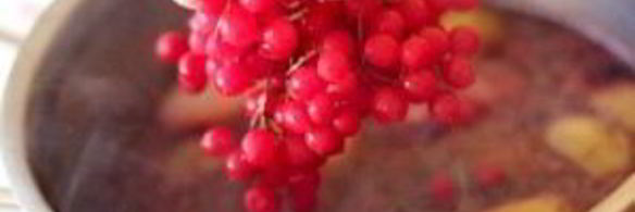 компот из калины
